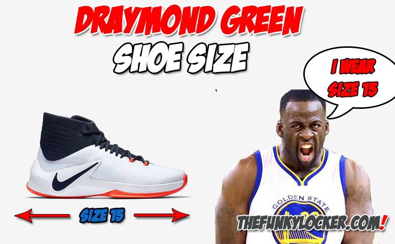 Draymond Green Shoe Size