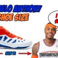 What is Carmelo Anthony Shoe Size?