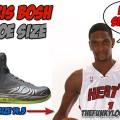 What Size Shoes Does Chris Bosh Wear?