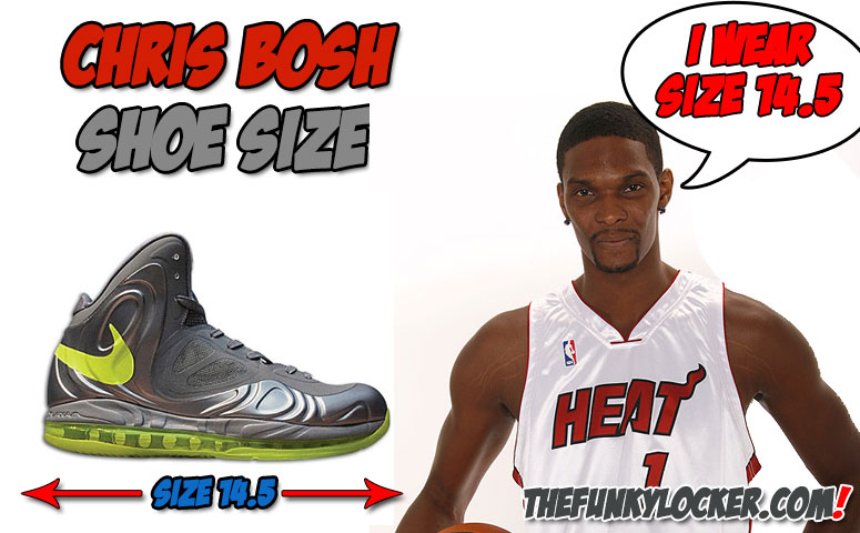 chris bosh nike shoes