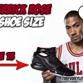 What is Derrick Rose Shoe Size?