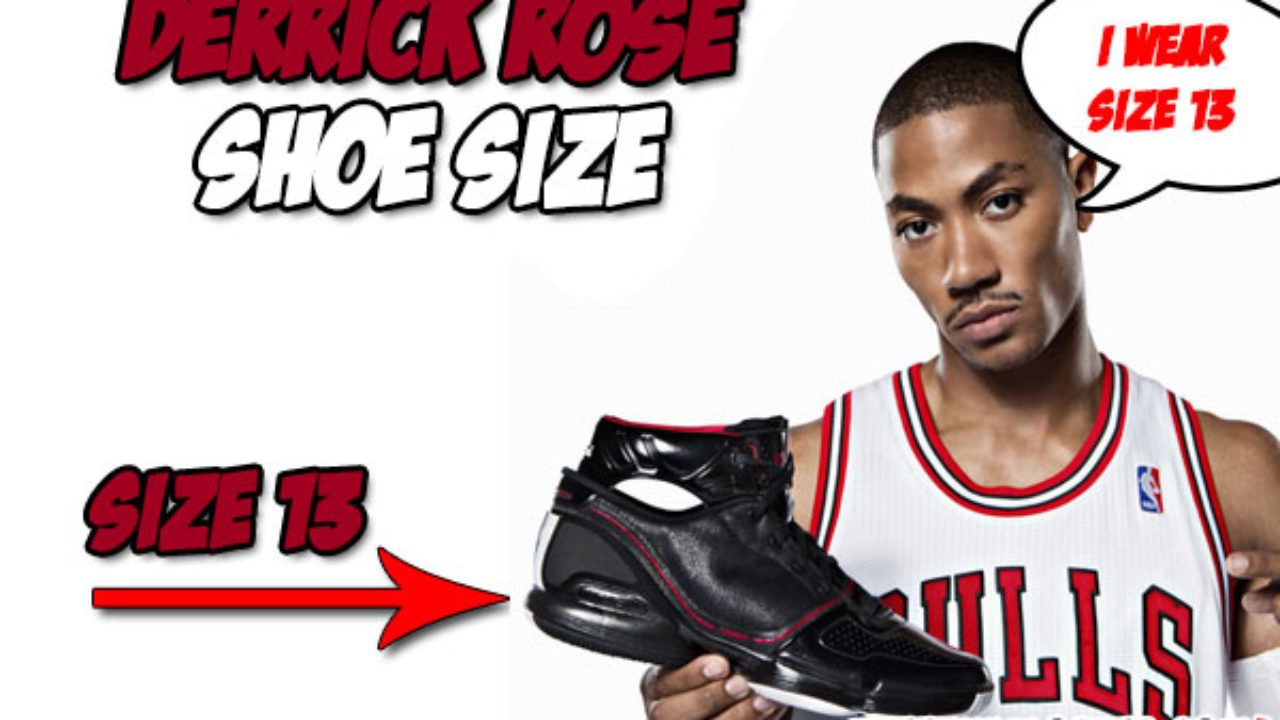 derrick rose shoe size