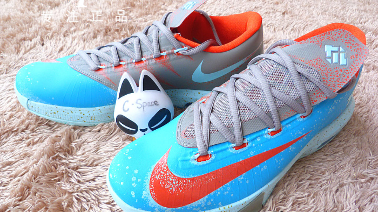 kd 6 maryland blue crab