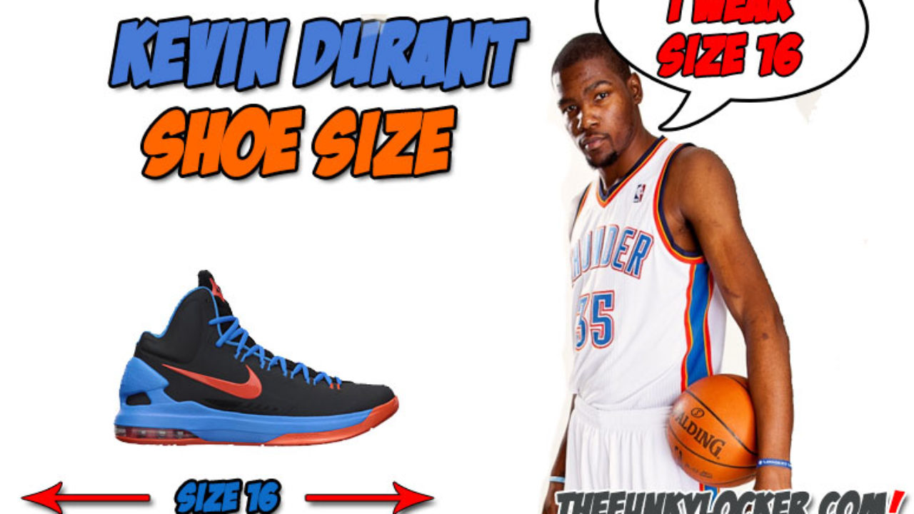 kd size shoe