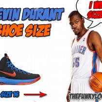 what size shoe does kevin durant wear