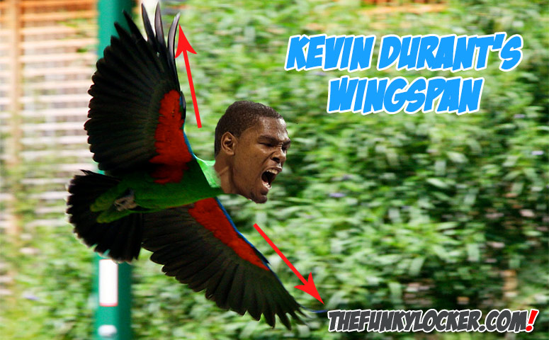 What is Kevin Durant's Wingspan?