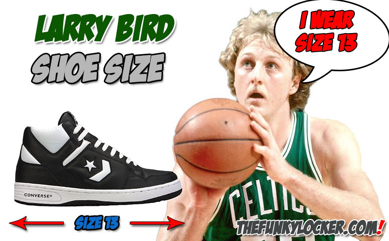 Larry Bird Shoe Size - See What Size 