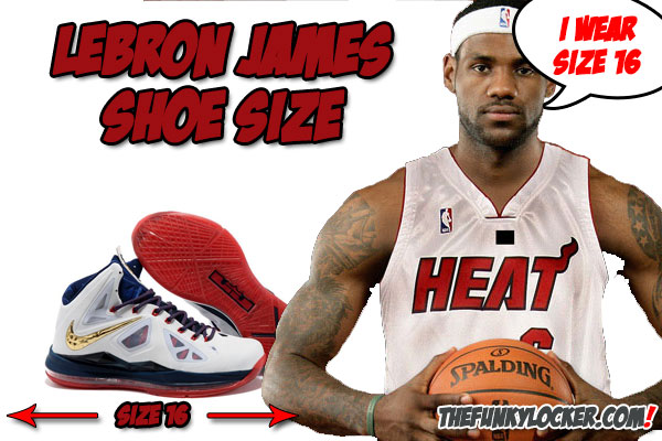 what shoe size is lebron james