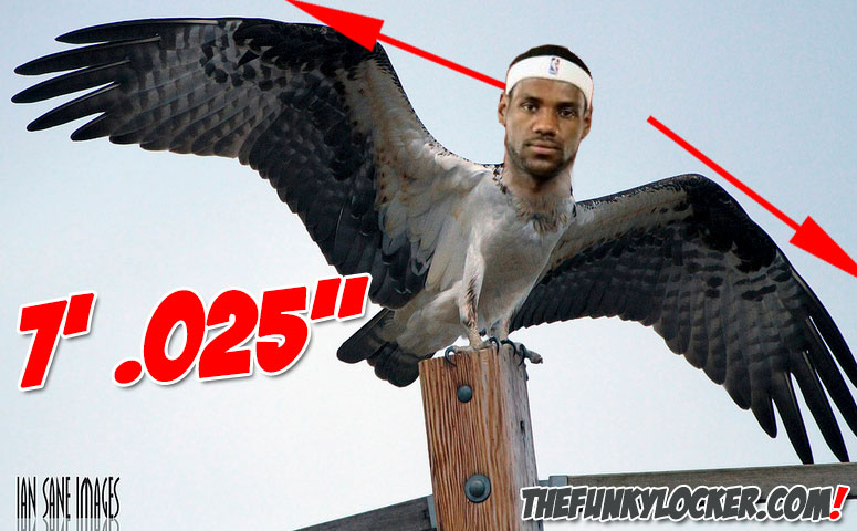 Lebron James Wingspan