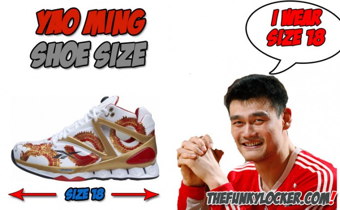 Yao Ming Shoe Size Find Out What Size Sneakers Ming Wears